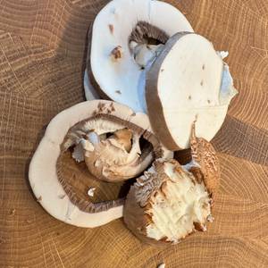 Fertig geschnittene Pilze nach dem Arbeiten mit dem WMF-Gemüsehobel Top Tools