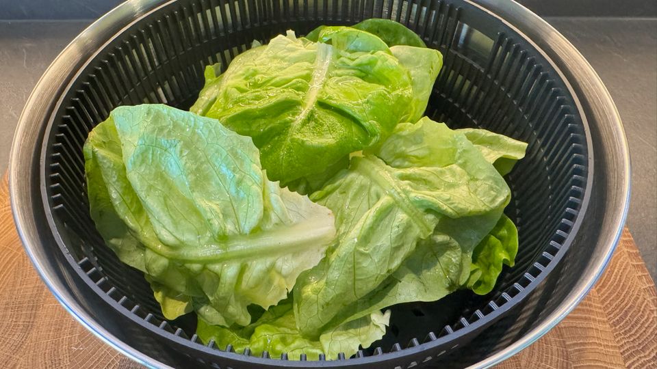 WMF-Gourmet-Salatschleuder mit frischem Salat