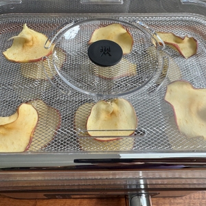 Der WMF Küchenminis Snack to go beim Dörren von Apfelscheiben