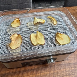 Gedörrte Apfelscheiben liegen auf einem Gitter des WMF Küchenminis Snack to go