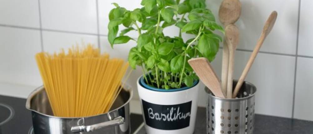 WMF-Topfset im Praxis-Test: Auf einem Herd steht ein Edelstahl-Topf mit ungekochten Spaghetti. Daneben befindet sich eine Basilikum-Pflanze und eine Behälter mit Kochbesteck aus Holz.