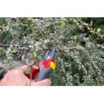 Mit der Wolf-Gartenschere Comfort Plus wird ein Ast abgeschnitten