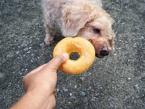 wolfsblut-hundefutter-zucker