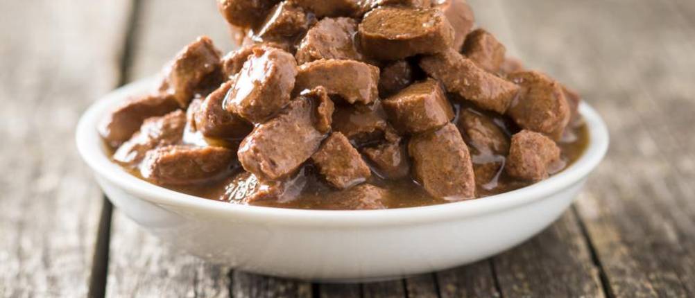 wolfsblut-nassfutter-test