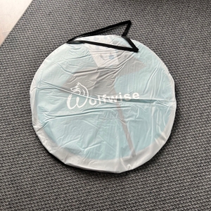 Die Transporthülle der Wolfwise WF-INS-B-1 liegt auf einem Teppich