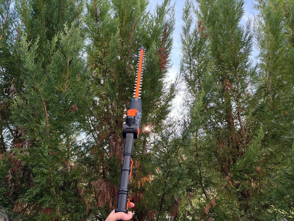 Mit der Worx WG252E.9 wird eine Hecke geschnitten.