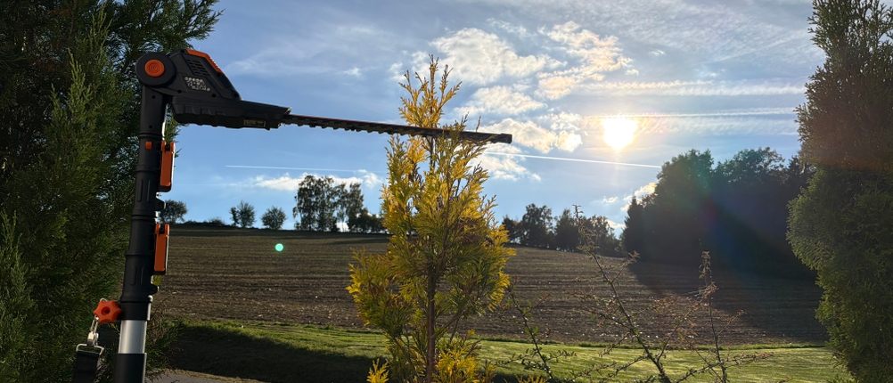 Die Spitze einer Hecke wird mit der Worx WG252E.9 geschnitten.