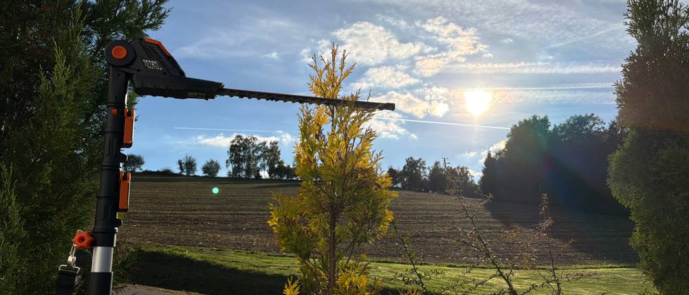 Die Spitze einer Hecke wird mit der Worx WG252E.9 geschnitten.
