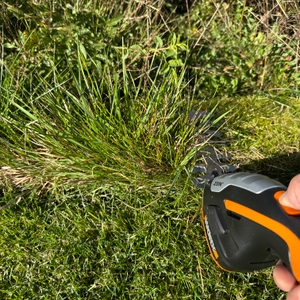 Eine Hand schneidet mit der Worx WG801E.9 hohes Gras.