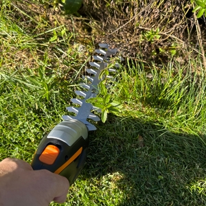 Ein kleines Unkraut wird mit der Worx WG801E.9 geschnitten.