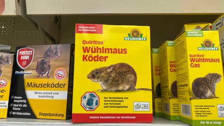 hundebett günstig Orthopädisches Hundebett waschbar main image 0