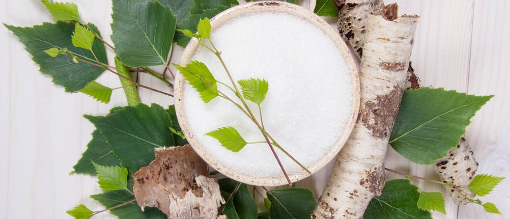 eine Schale Xylit-Pulver mit Pflanzen