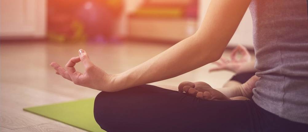 yogagurt vergleich