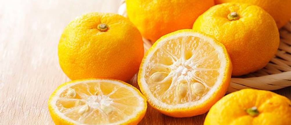 Yuzu-Saft-Test