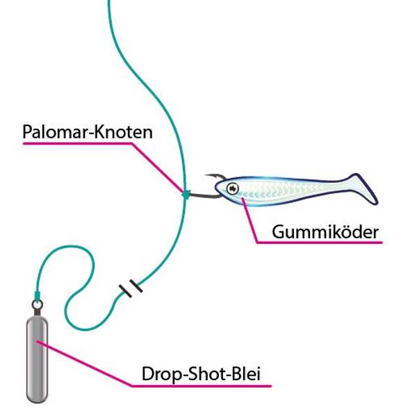 Zanderruten Test & Vergleich » Top 15 im Juli 2024
