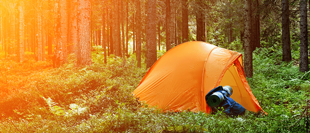 zeltteppich-campen-im-wald