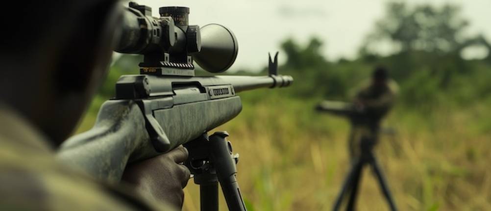 Zielstock-Dreibein im Test: Ein Gewehr liegt auf einem Zielstock-Dreibein auf und zielt auf einer Grünfläche.