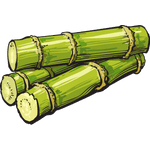 Zuckerrohr