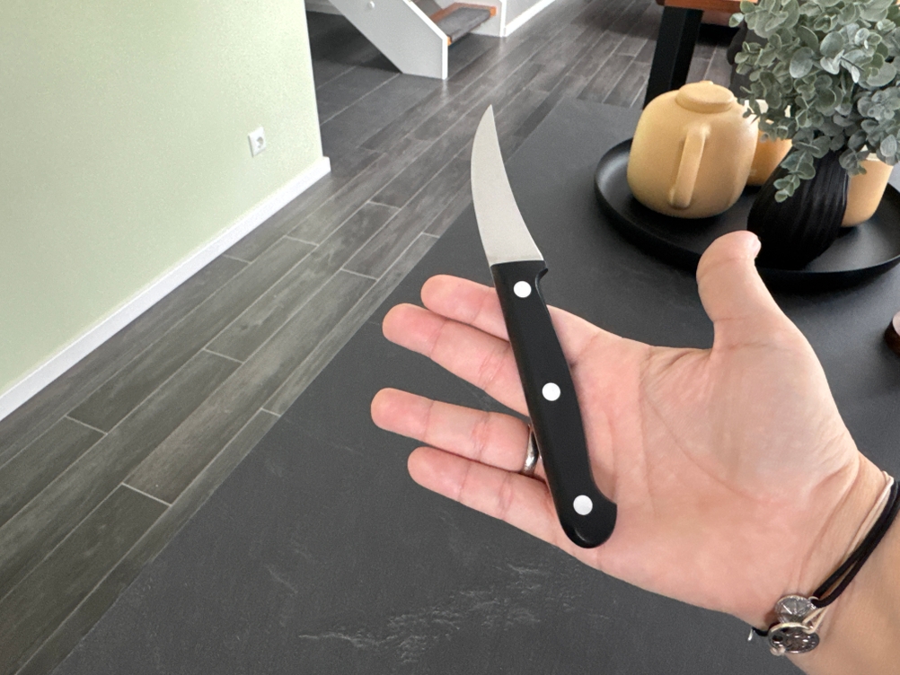 Das Zwilling Twin Chef liegt in einer geöffneten Hand.