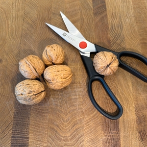 Vier Walnüsse liegen neben der Zwilling Twin L