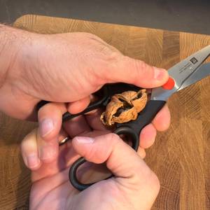 Eine Walnuss wird mit der Zwilling Twin L geknackt