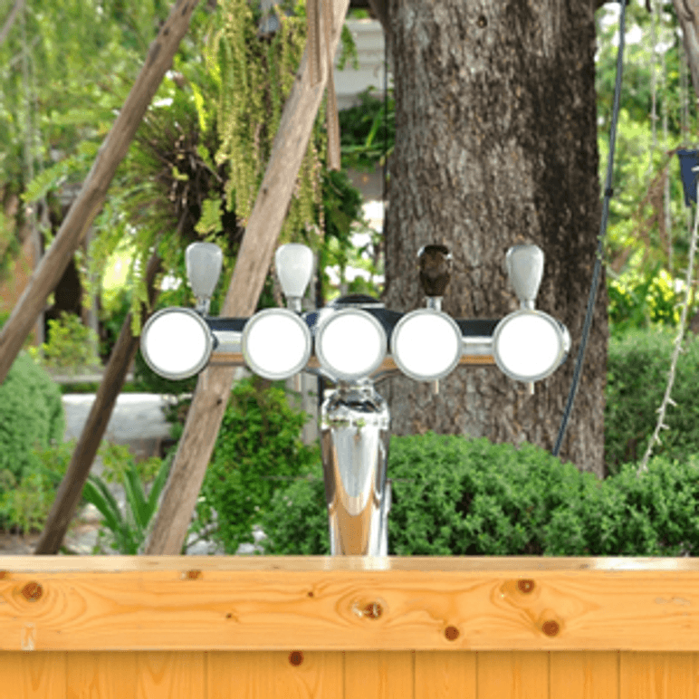bierzapfanlage im garten