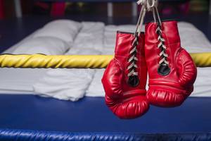 boxhandschuhe set