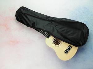 gitarre in einer tasche