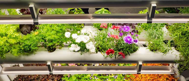 growbox installation