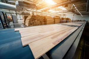 holzbearbeitungswerkstatt
