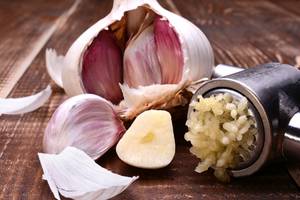 frischer knoblauch in der presse