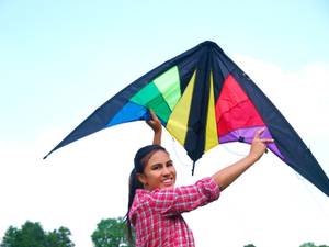 lenkdrachen kite