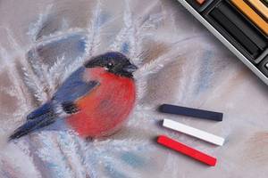 vogel der mit pastellkreide gemalt wurde