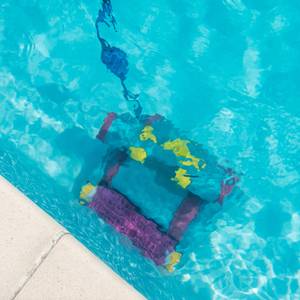 poolroboter ovale pools