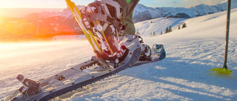 schneeschuhe damen