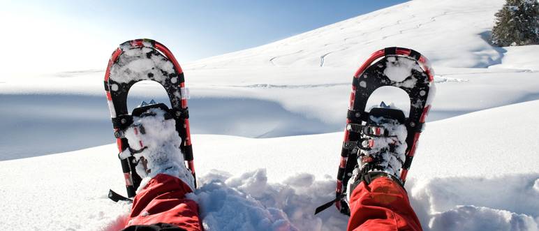 schneeschuhe flexibel