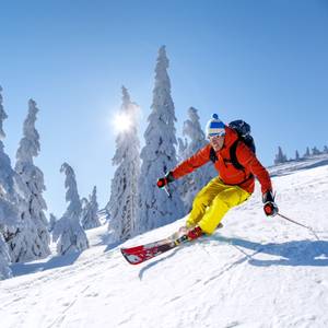 ski tourenski