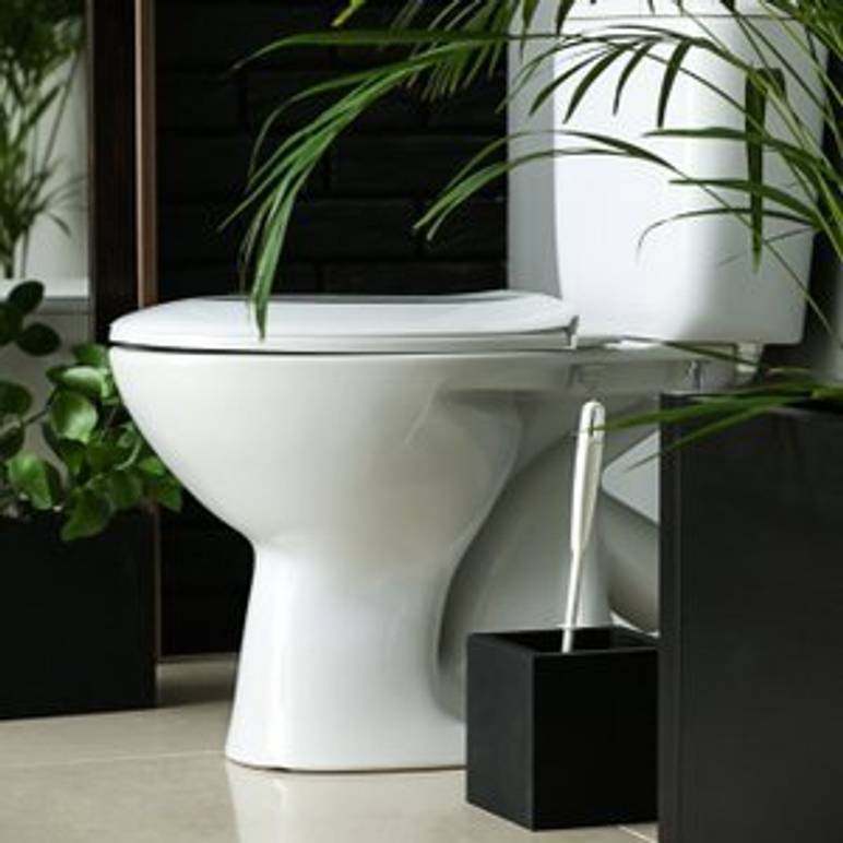 spuelrandloses wc in bad mit pflanzen