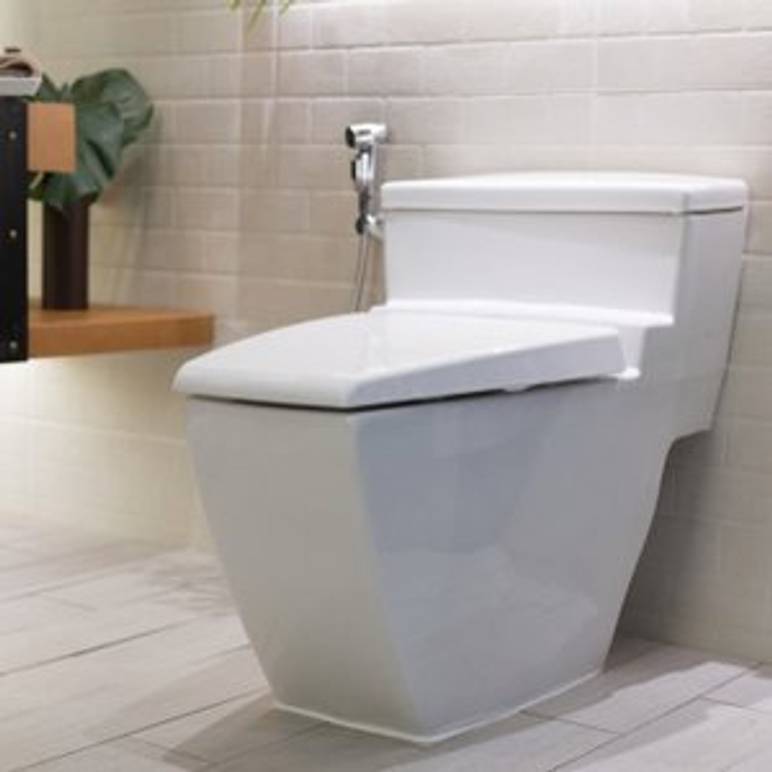 modernes spuelrandloses wc