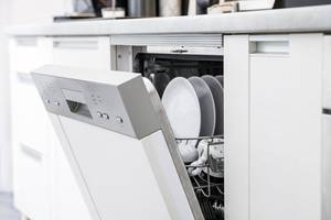teilintegrierter offener geschirrspueler