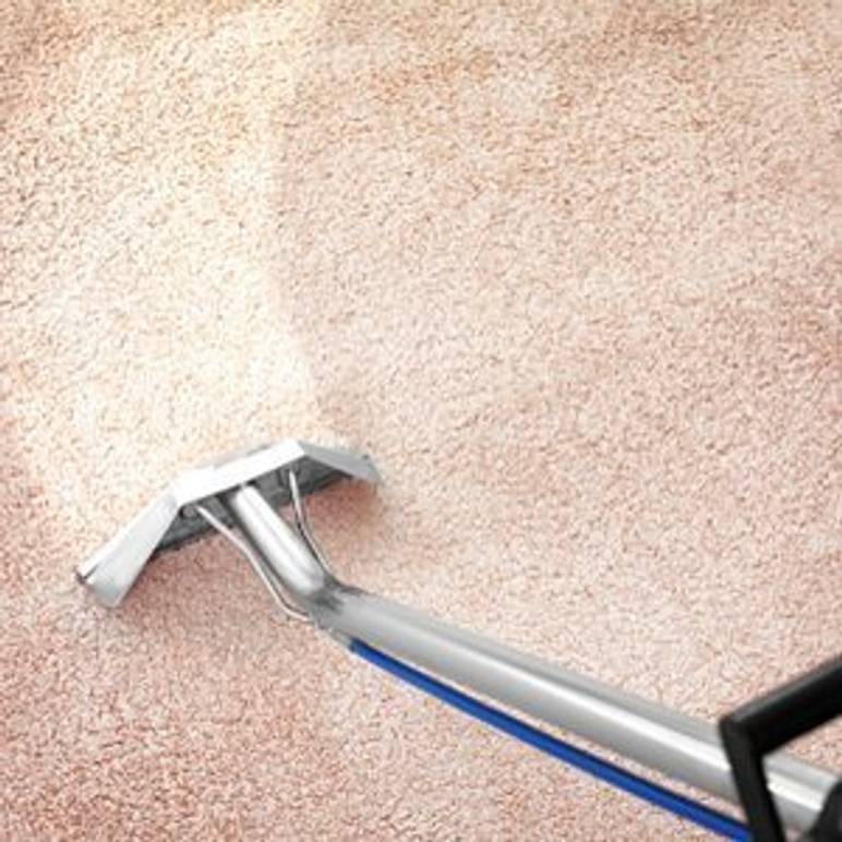 teppich wird gereinigt