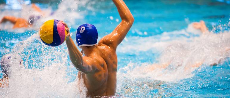 wasserball-merkmale